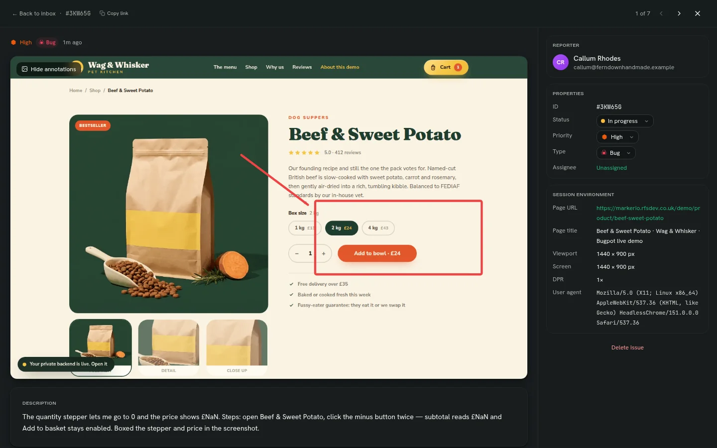 A Bugpot report detail view with annotated screenshot, reporter, properties and session environment